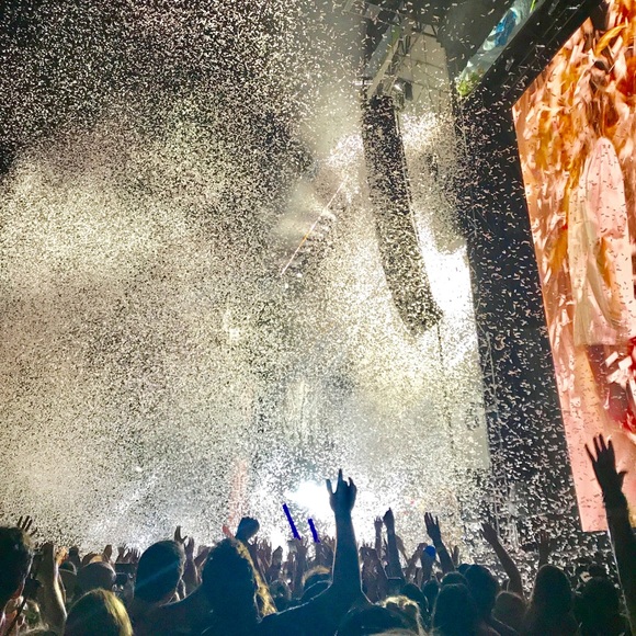 Meet your Posher, Sophie - Picture 1 of 1